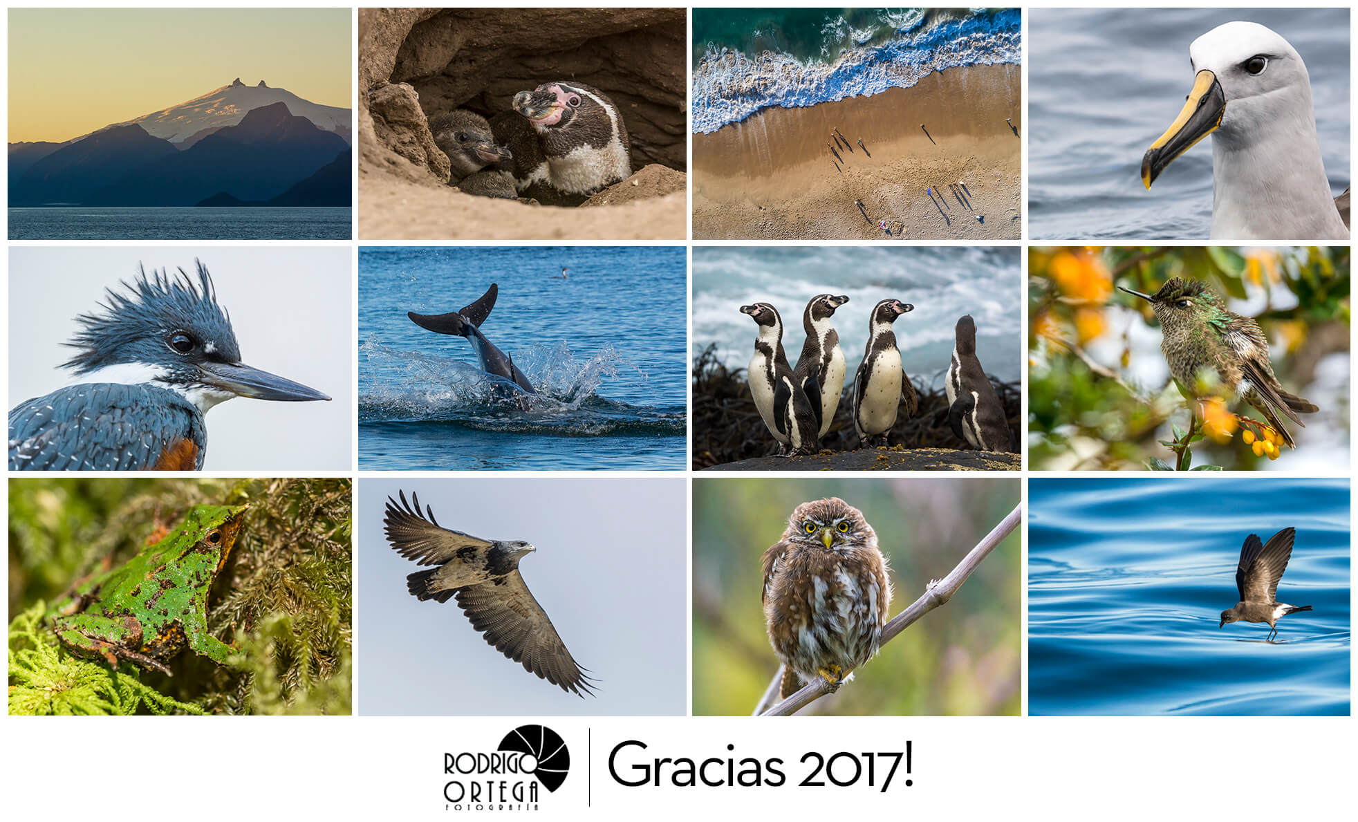 Resumen 2017
