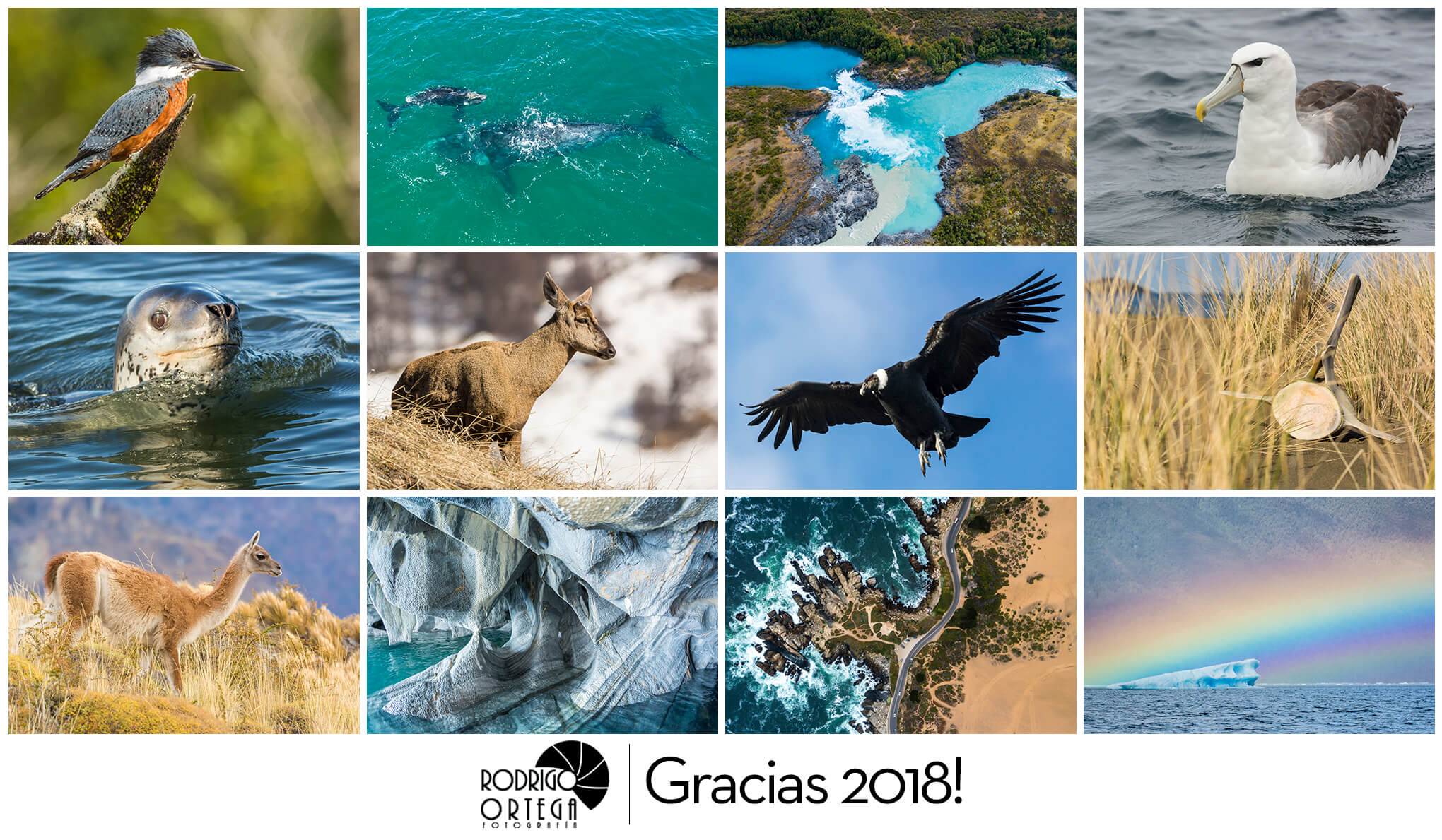 Resumen 2018