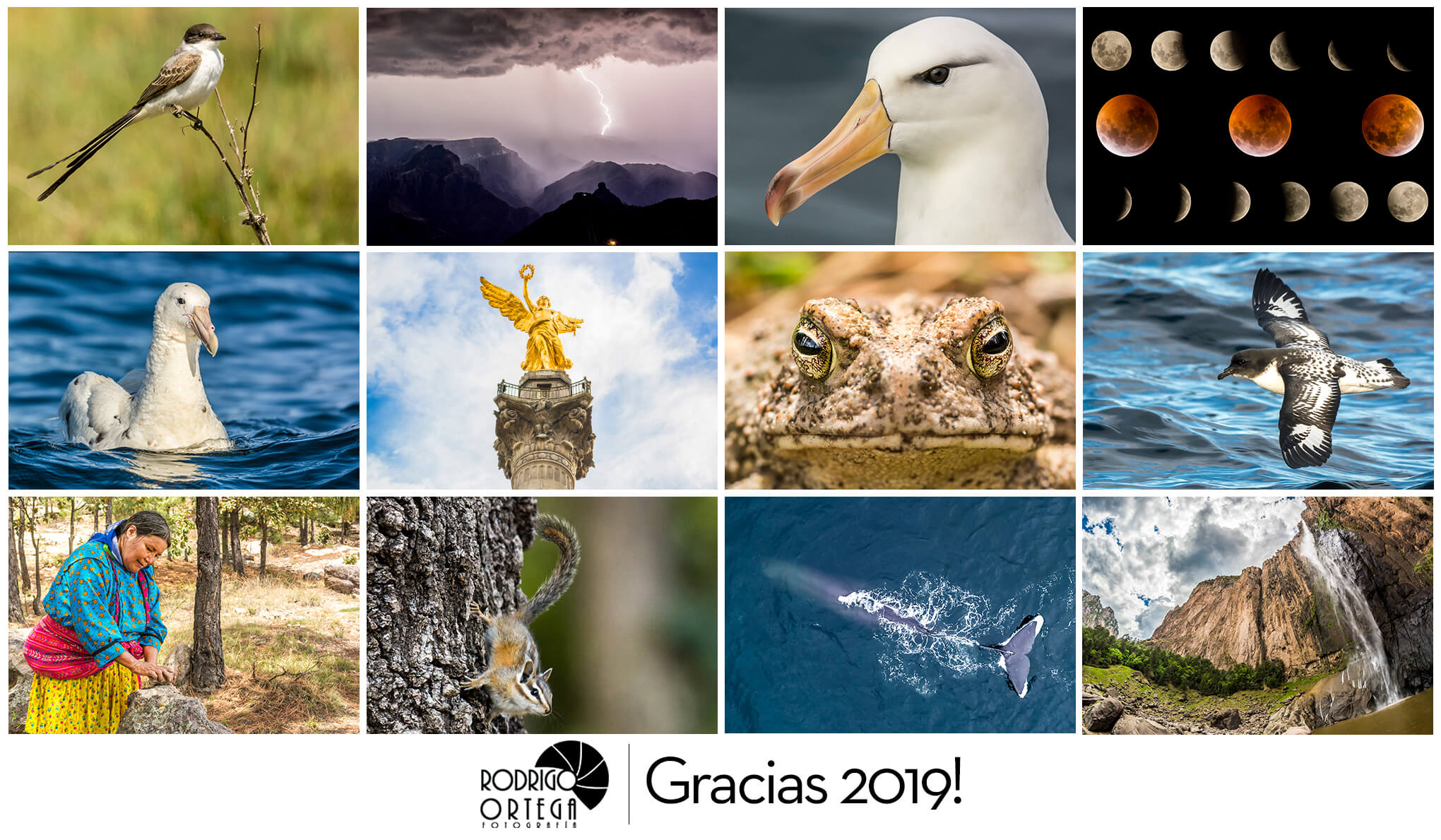 Resumen 2019