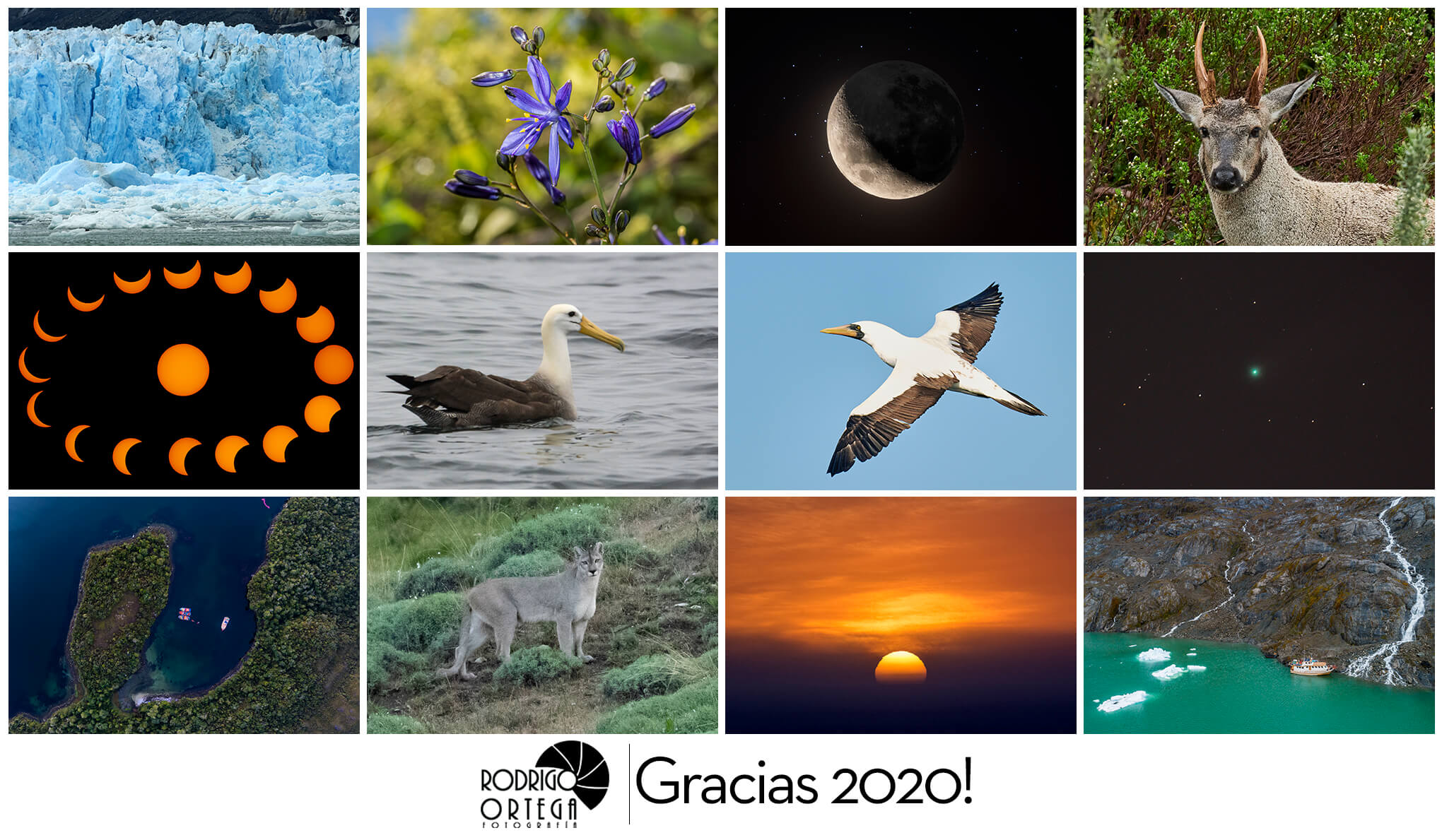Resumen 2020