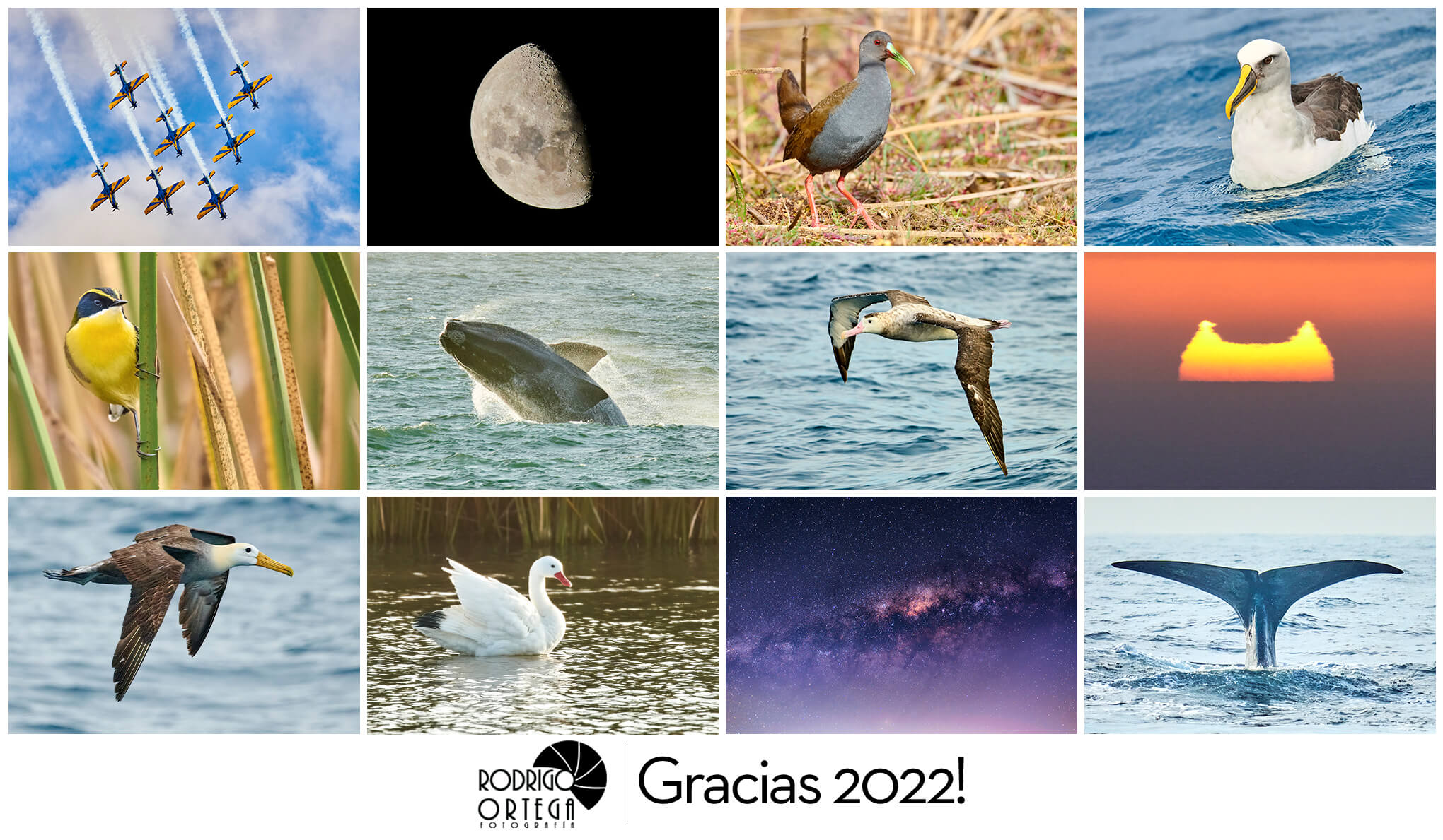 Resumen 2022