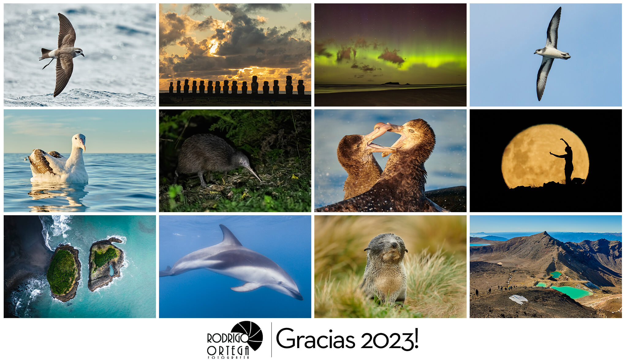 Resumen 2023