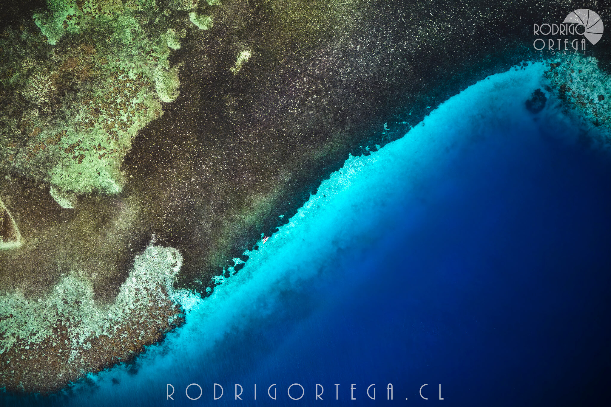 Arrecife & Azul profundo 1 Arrecife & Azul profundo