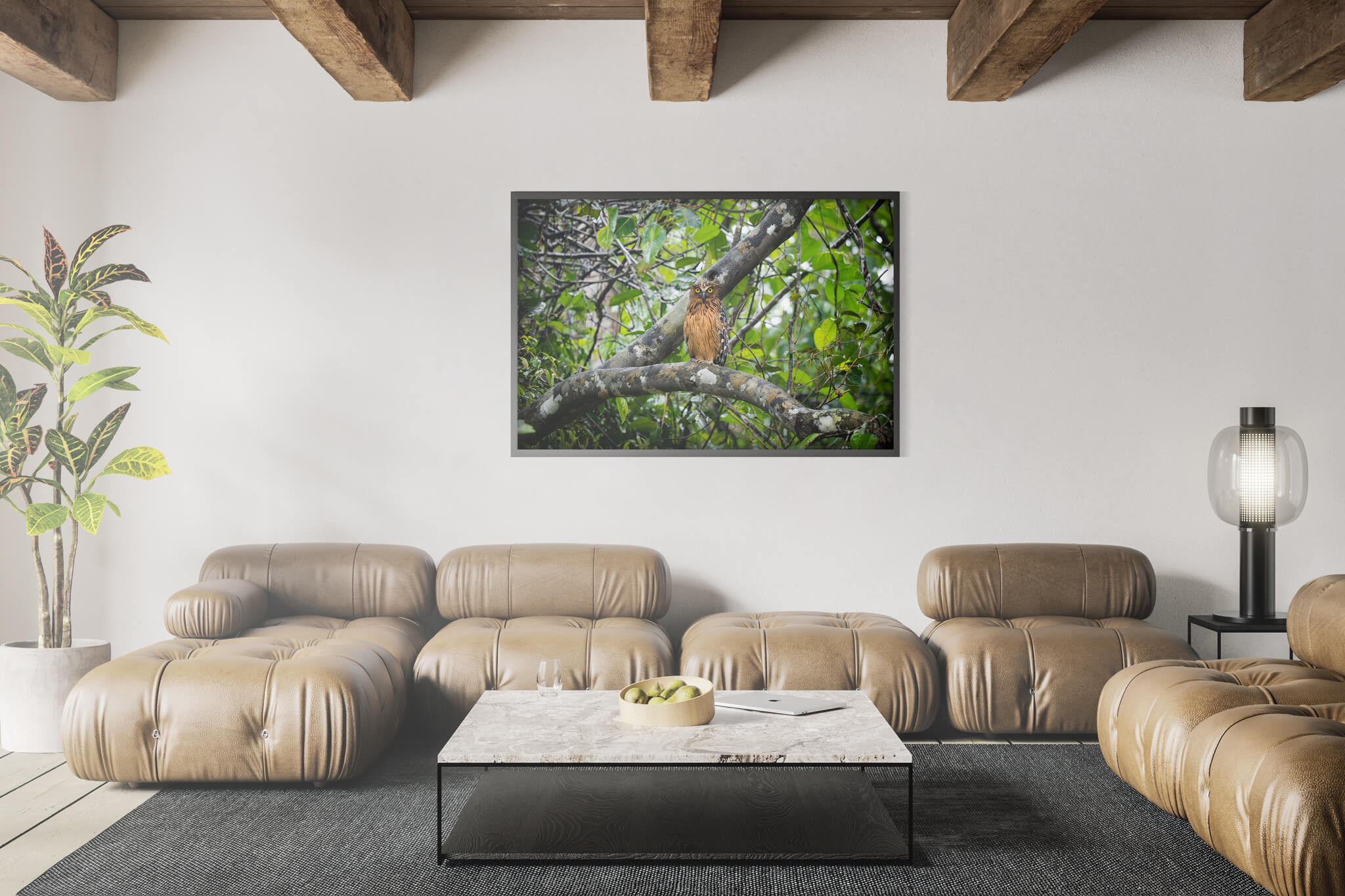 Buffy Fish Owl 3 Buffy Fish Owl - Imagen 3