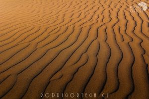 Dunas