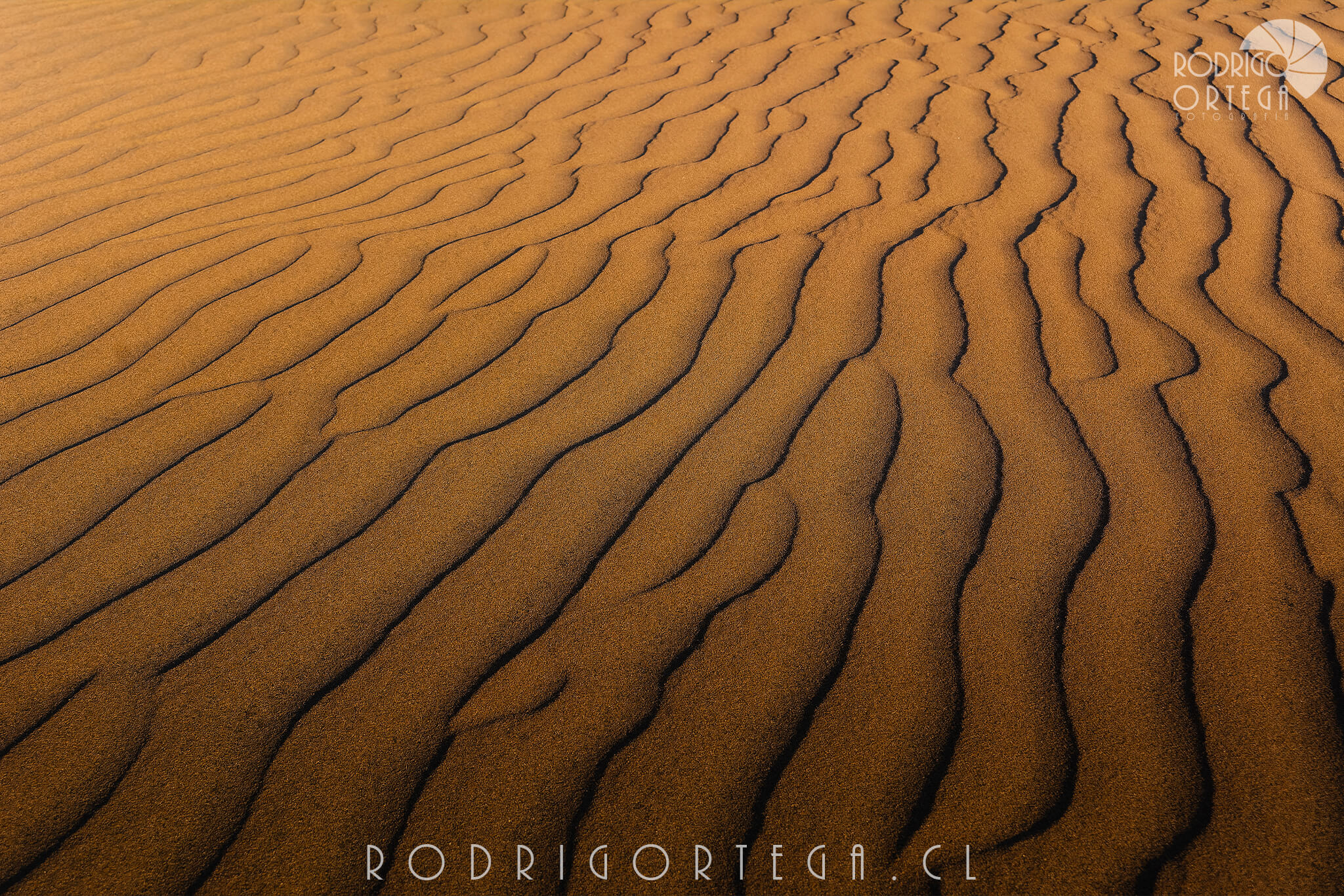 Dunas 1 Dunas