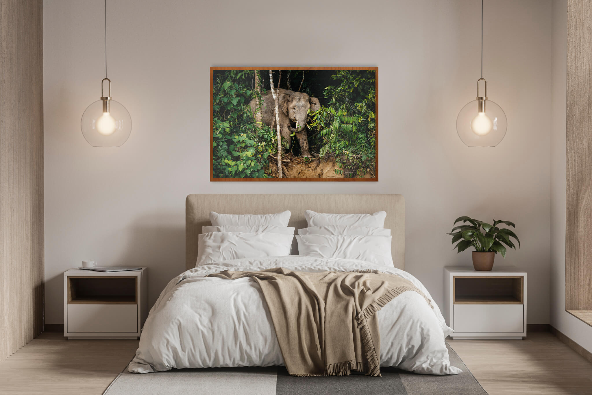 Elefante de Borneo 4 Elefante de Borneo - Imagen 4