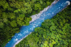 Jungle Bukit Lawang