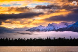 Aysén Patagonia