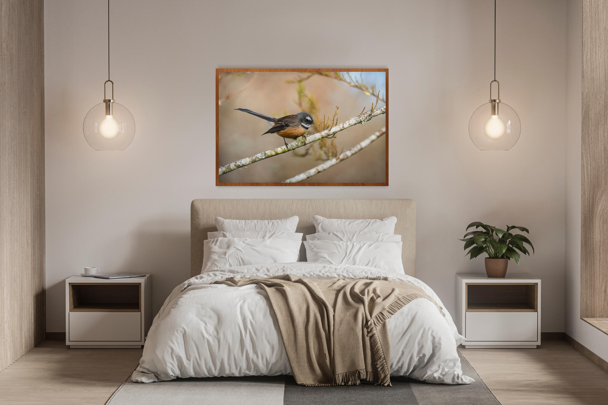 New Zealand Fantail 4 New Zealand Fantail - Imagen 4
