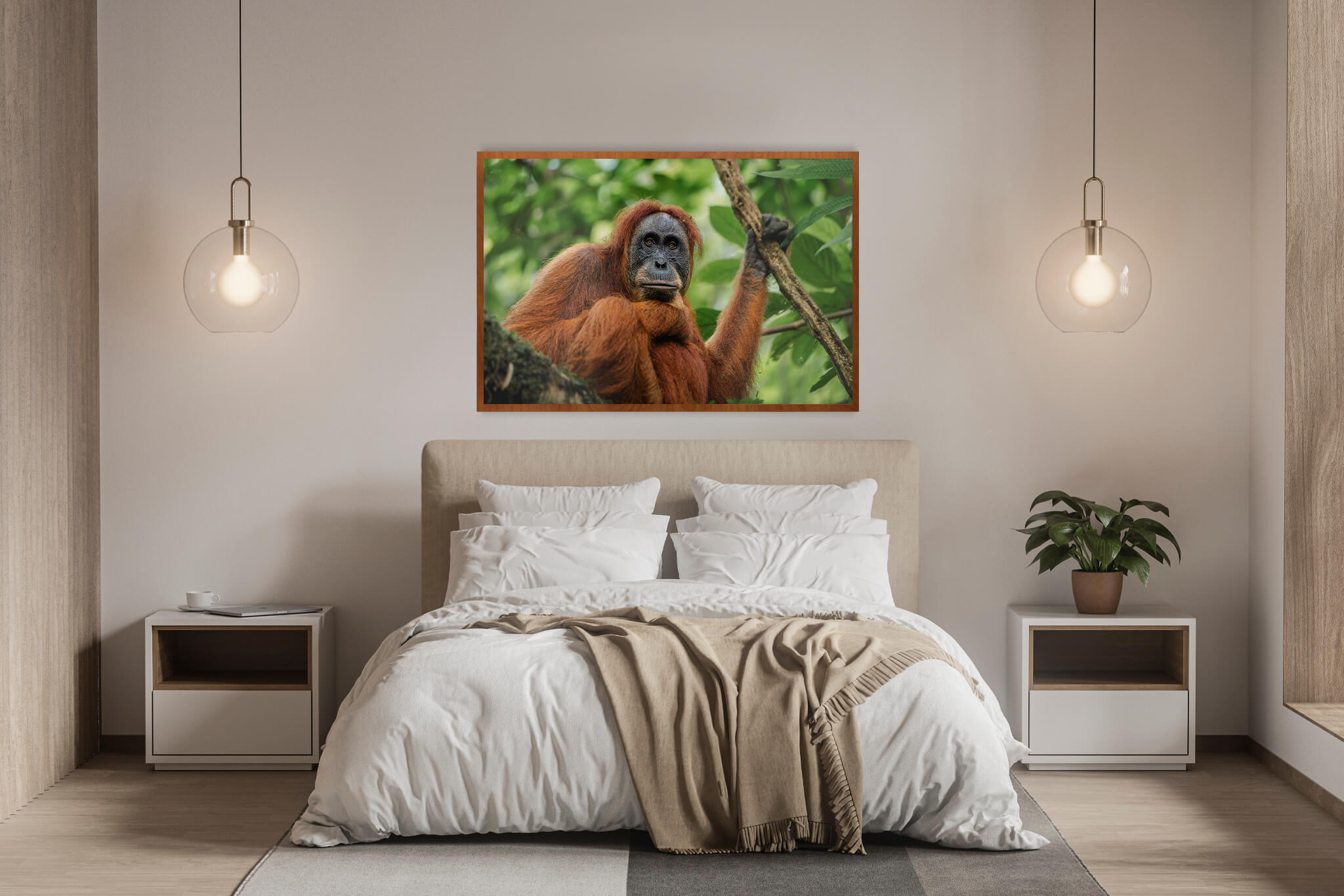 Orangután de Sumatra 1 4 Orangután de Sumatra 1 - Imagen 4