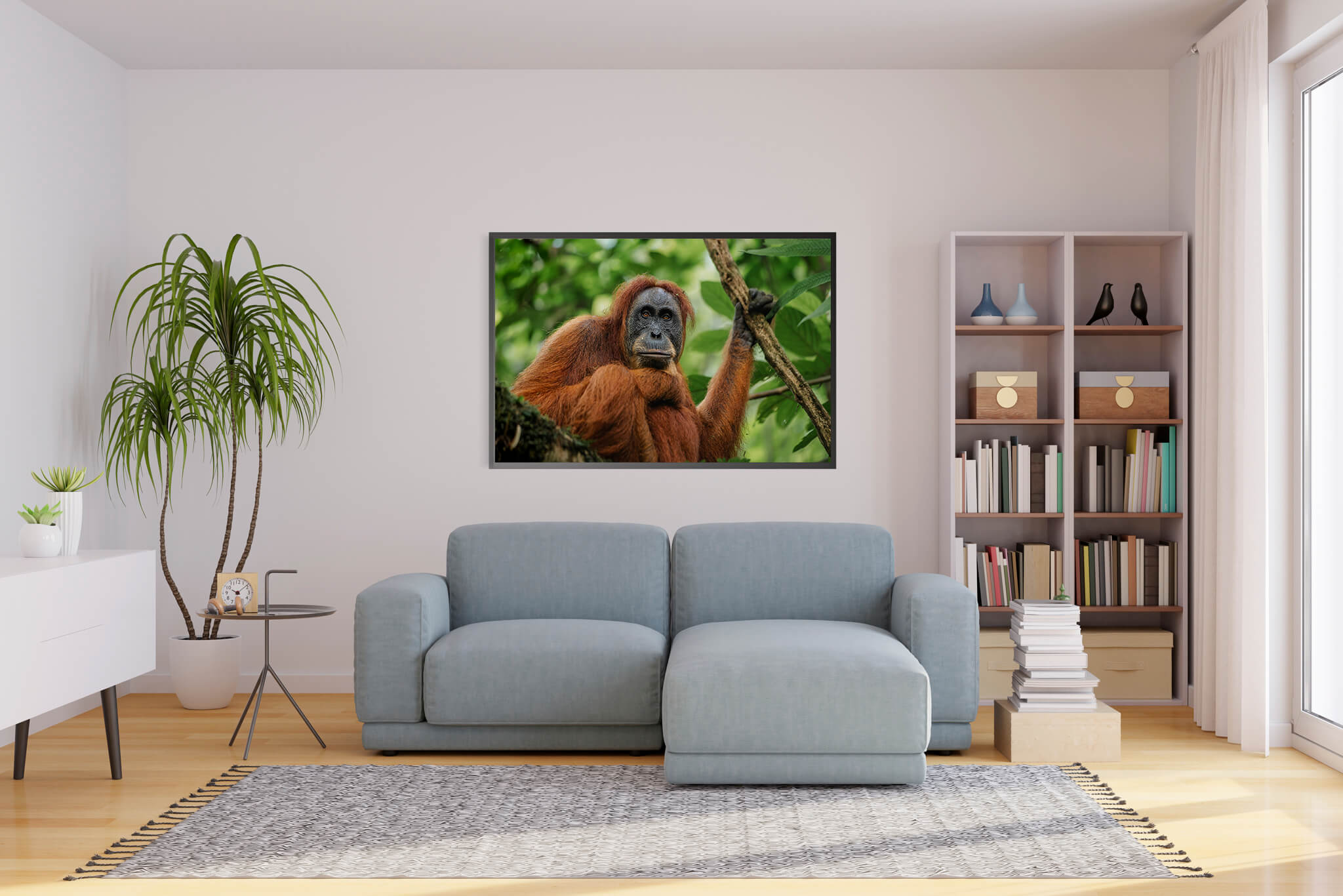 Orangután de Sumatra 1 2 Orangután de Sumatra 1 - Imagen 2