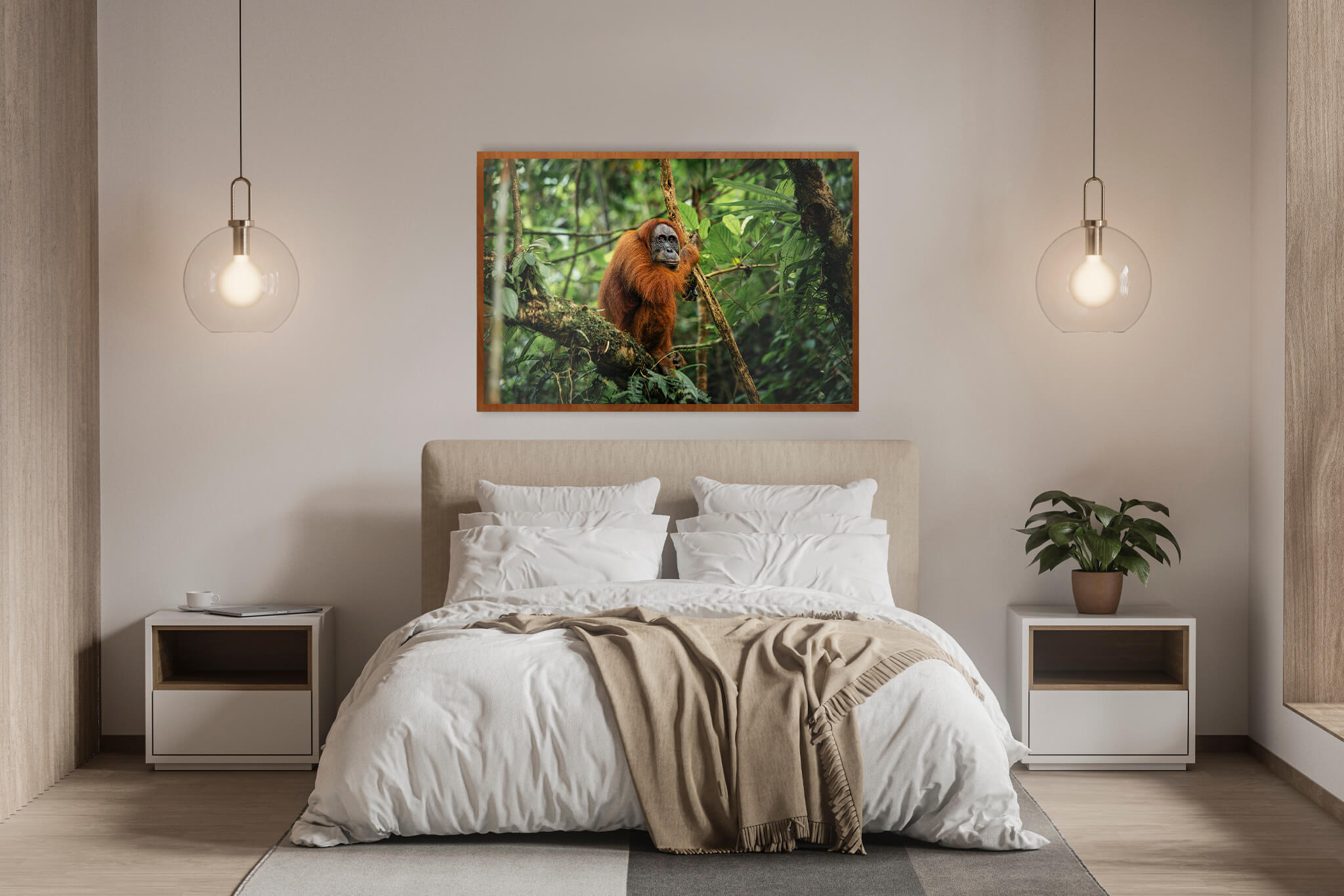 Orangutan de Sumatra 3 4 Orangutan de Sumatra 3 - Imagen 4