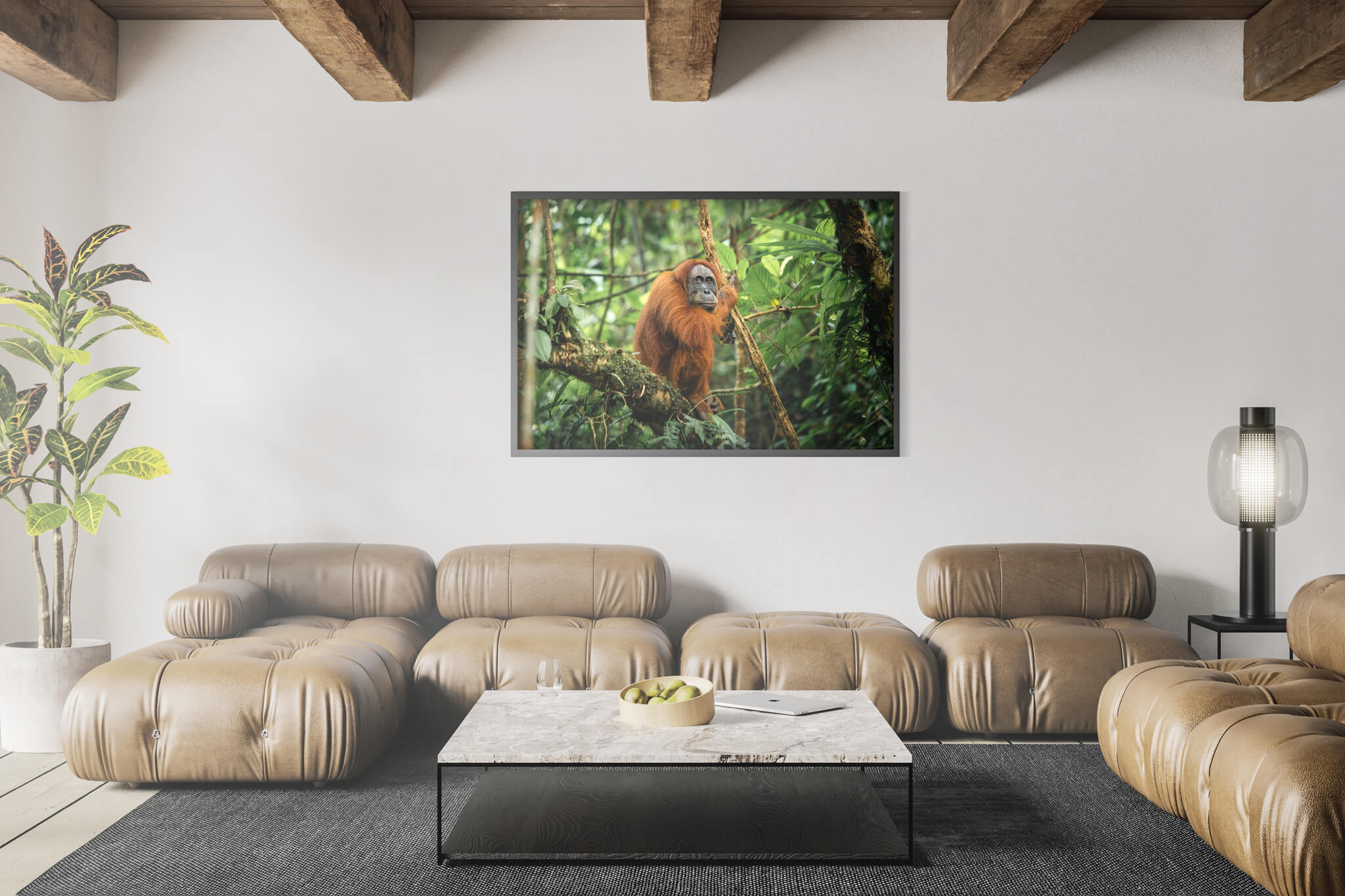 Orangutan de Sumatra 3 3 Orangutan de Sumatra 3 - Imagen 3
