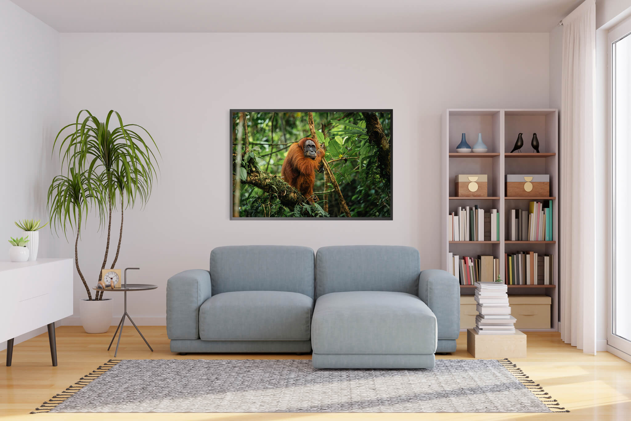 Orangutan de Sumatra 3 2 Orangutan de Sumatra 3 - Imagen 2
