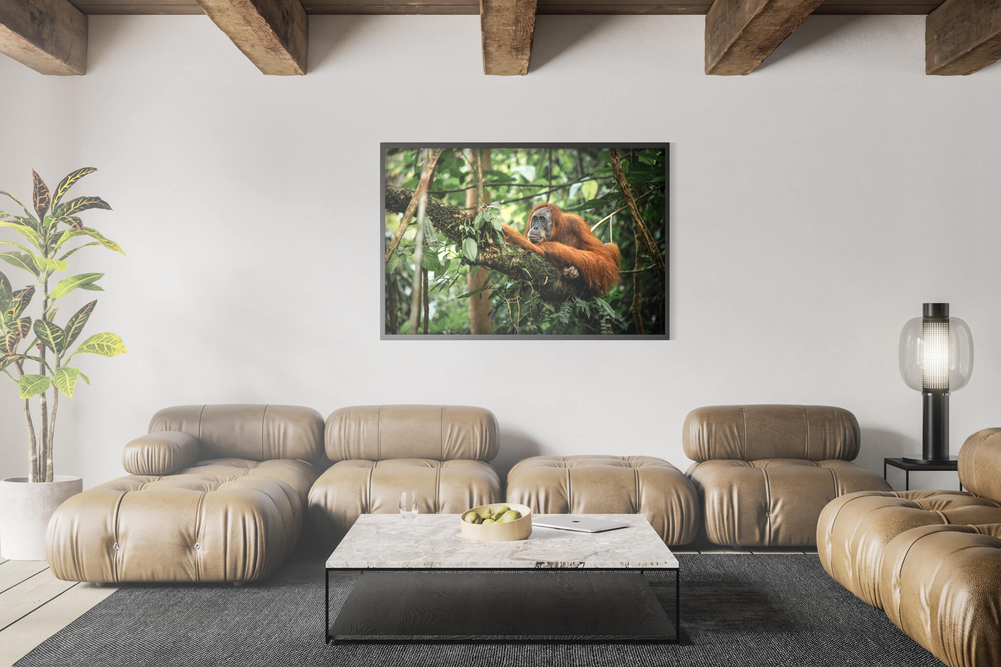 Orangutan de Sumatra 3 3 Orangutan de Sumatra 3 - Imagen 3