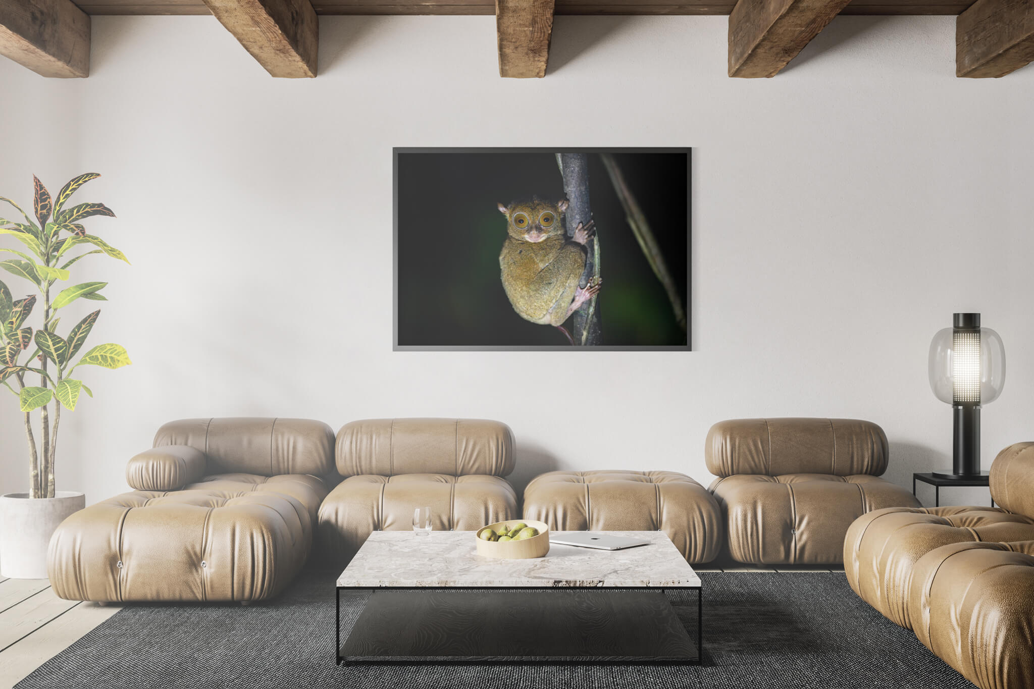 Western Tarsier 3 Western Tarsier - Imagen 3